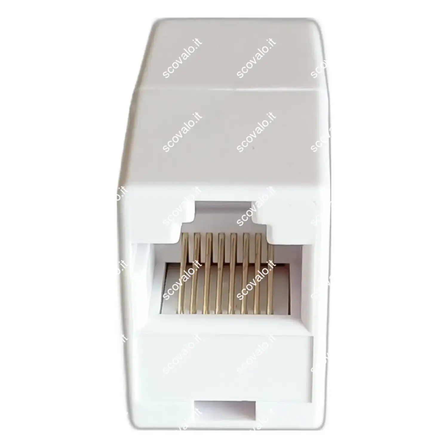 immagine adattatore giunto per cavo di rete rj45 8p8c isdn 8 pin bianco