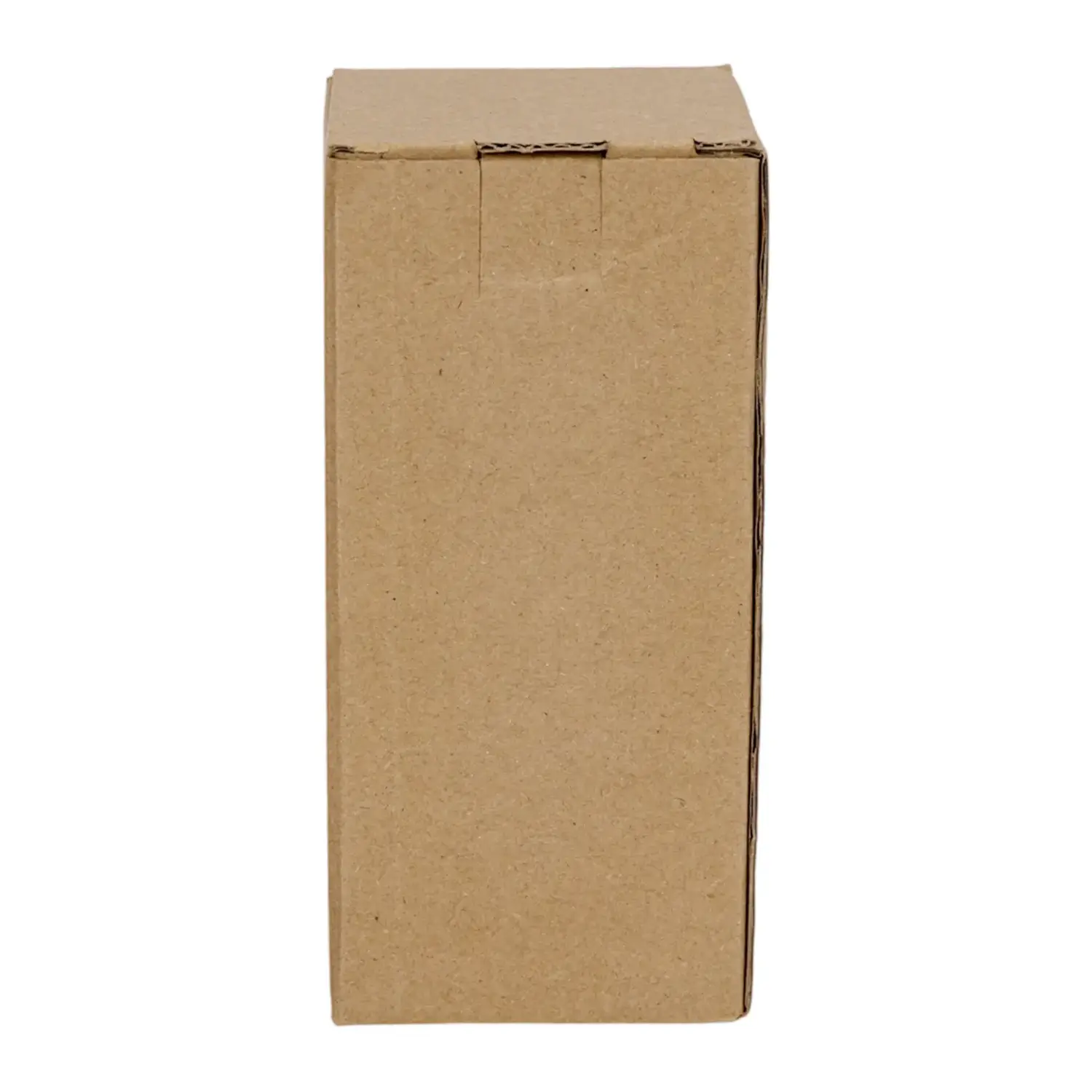 immagine Catena luminosa a batteria 3AA con sensore musicale, luce fredda, 2M IP44, Interno&Esterno