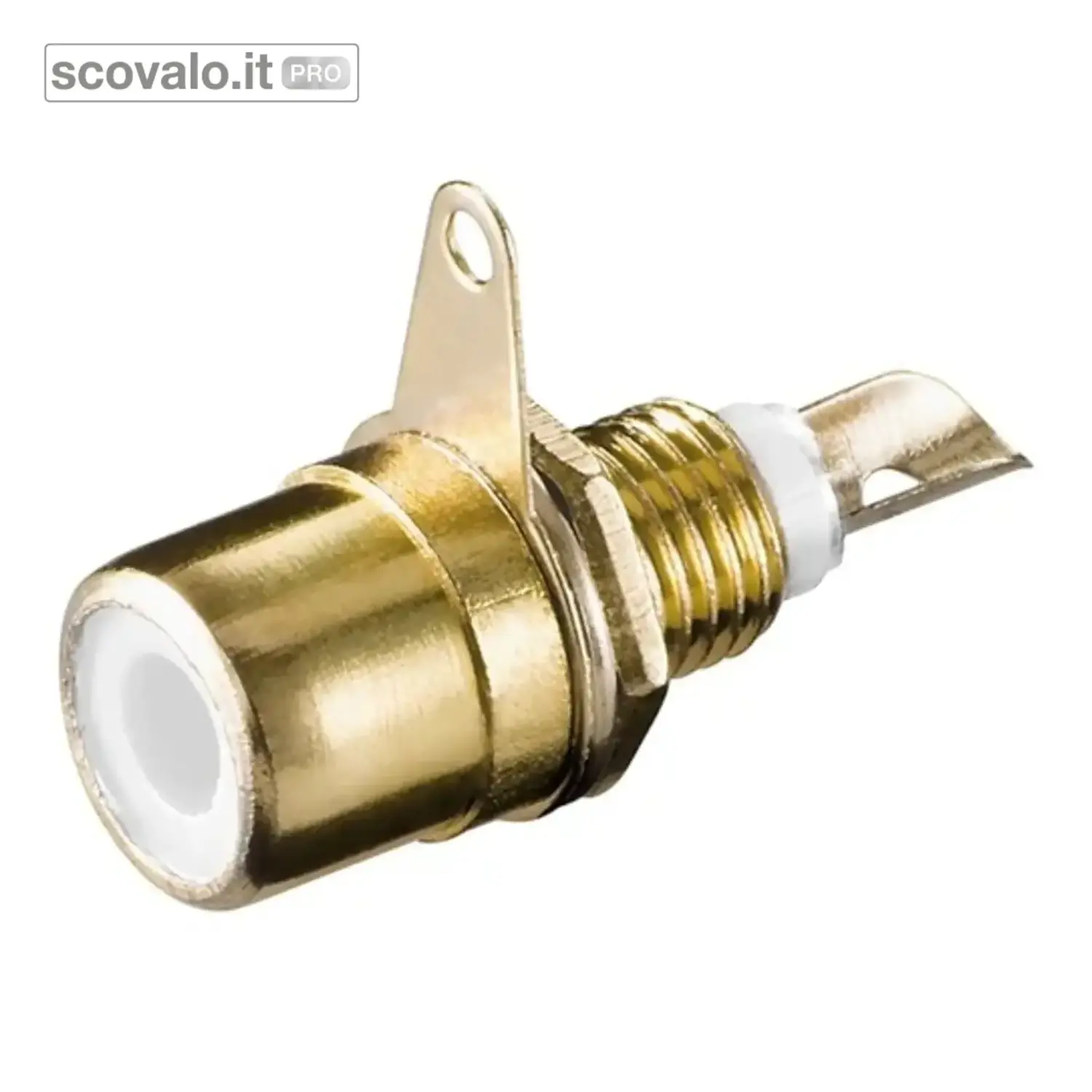 variante bianco