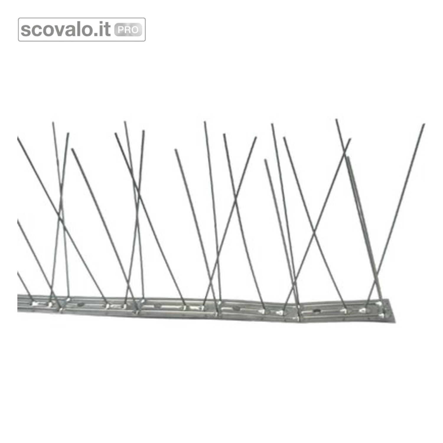 immagine del prodotto Dissuasore Volatili Piccioni Acciaio Inox 80 Punte 100cm 1mt Spilli