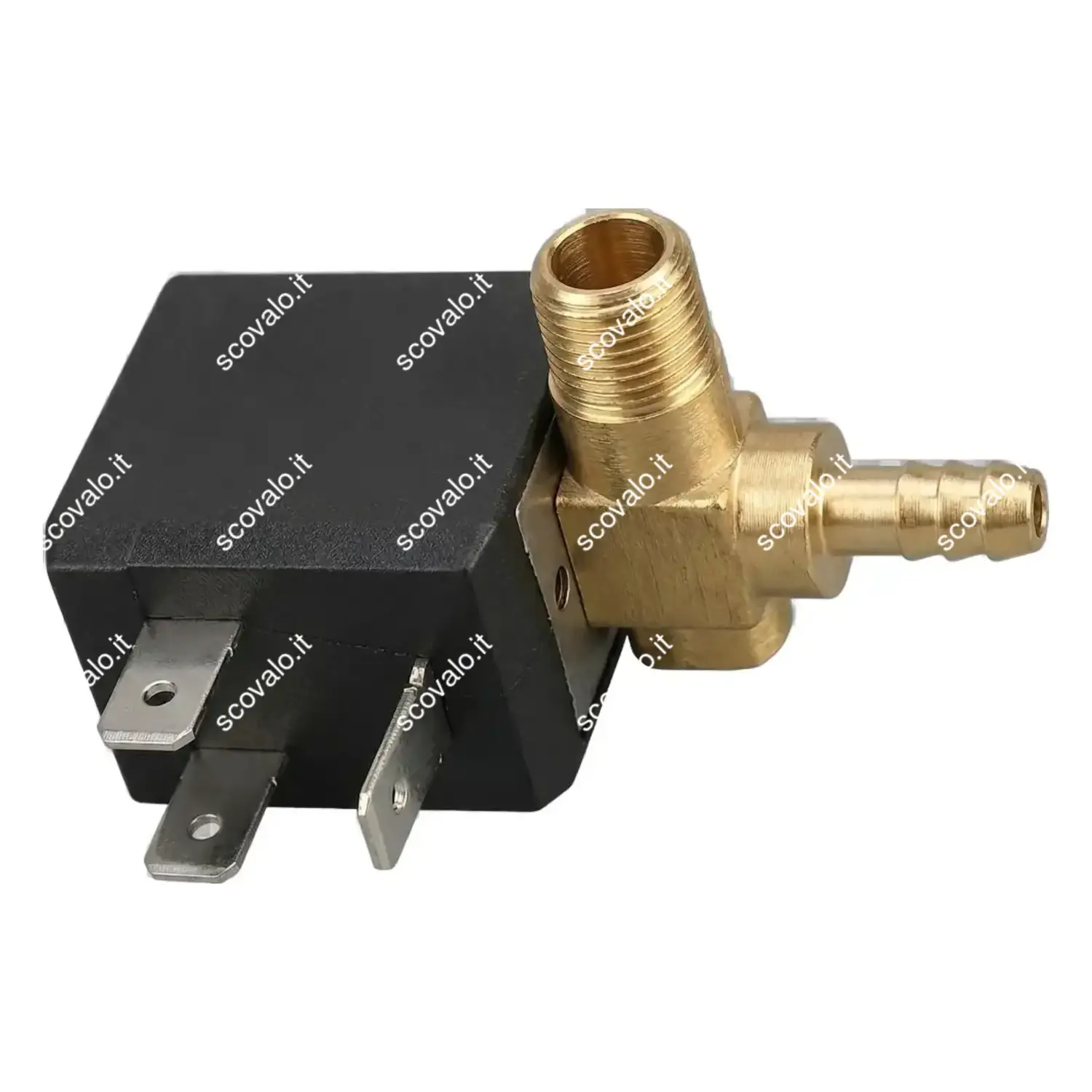 immagine Elettrovalvola Ceme 1/8 per Ferro da Stiro Vapore con Bobina 4W