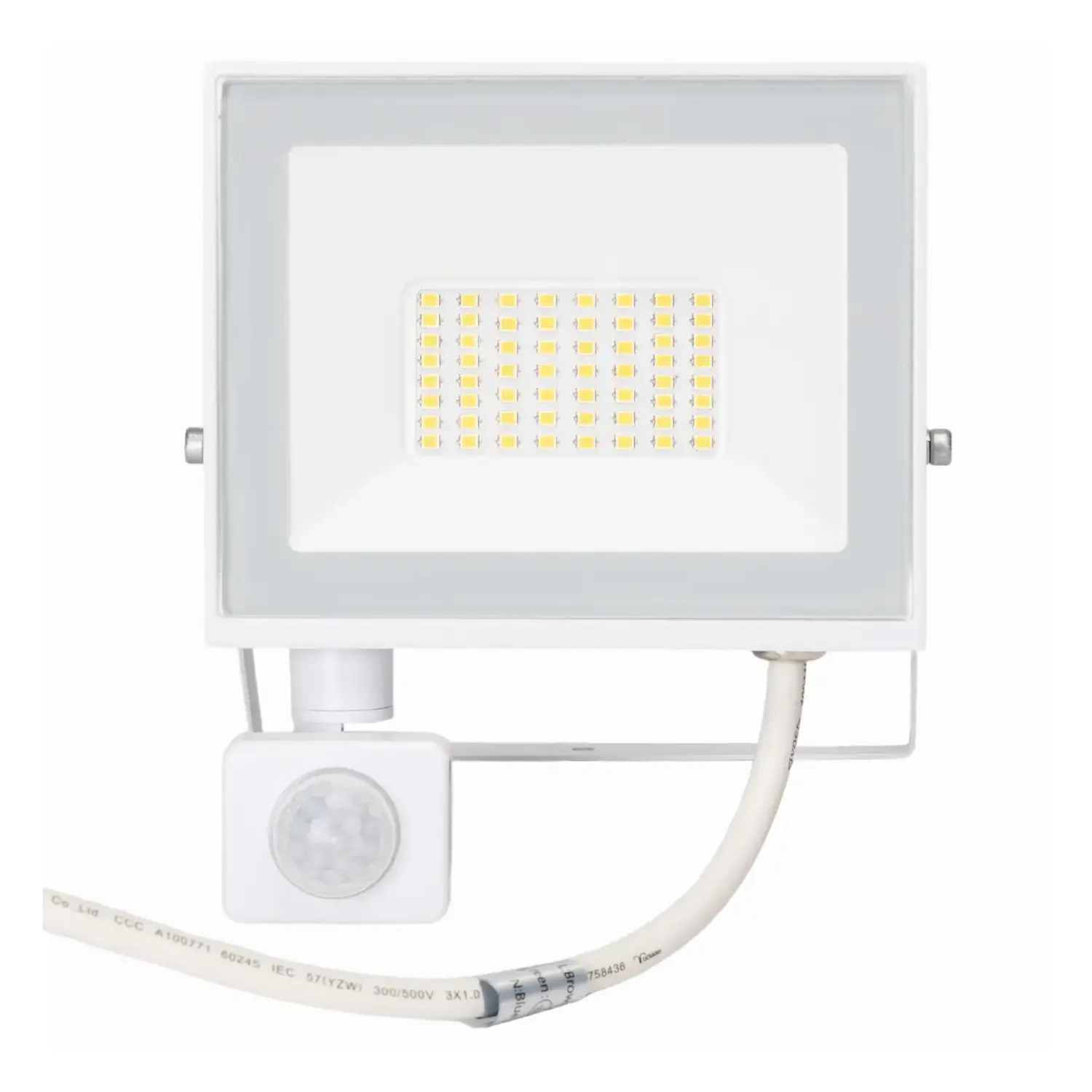 immagine Faro led sensore crepuscolare e di movimento 30 watt 220-240 volt bianco naturale bianco