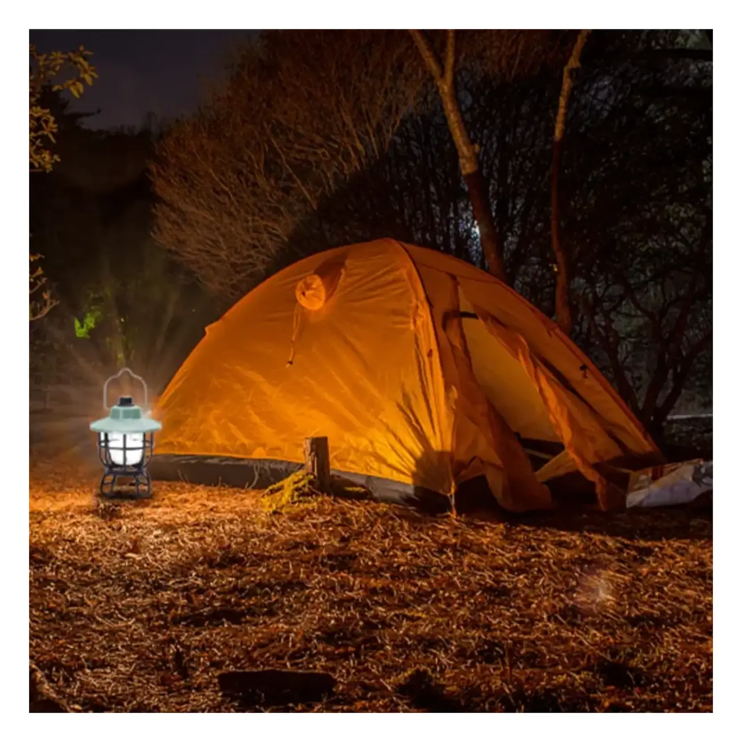 immagine Lampada Campeggio LED Aigostar 3W Ricaricabile USB Luce Calda/Fredda 320lm