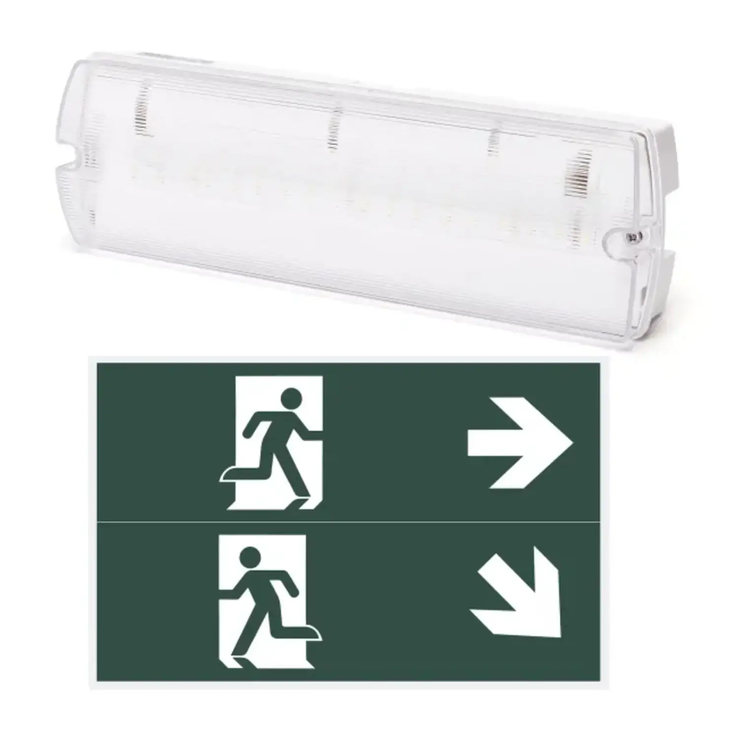 immagine lampada di emergenza a led 4watt luce fredda 6500k 3h IP65