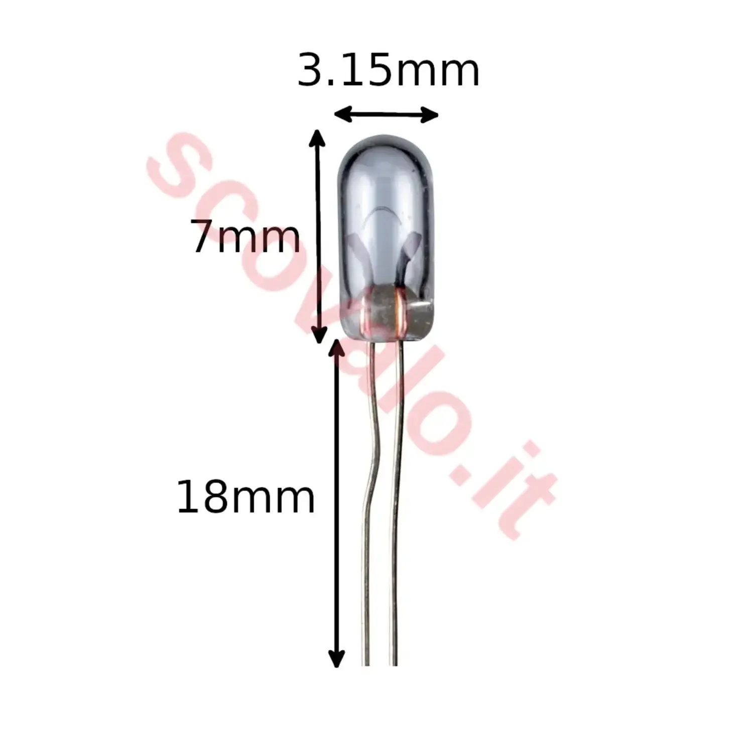 immagine lampadina a incandescenza miniatura t1 modellismo radio 0,24 watt 6 volt