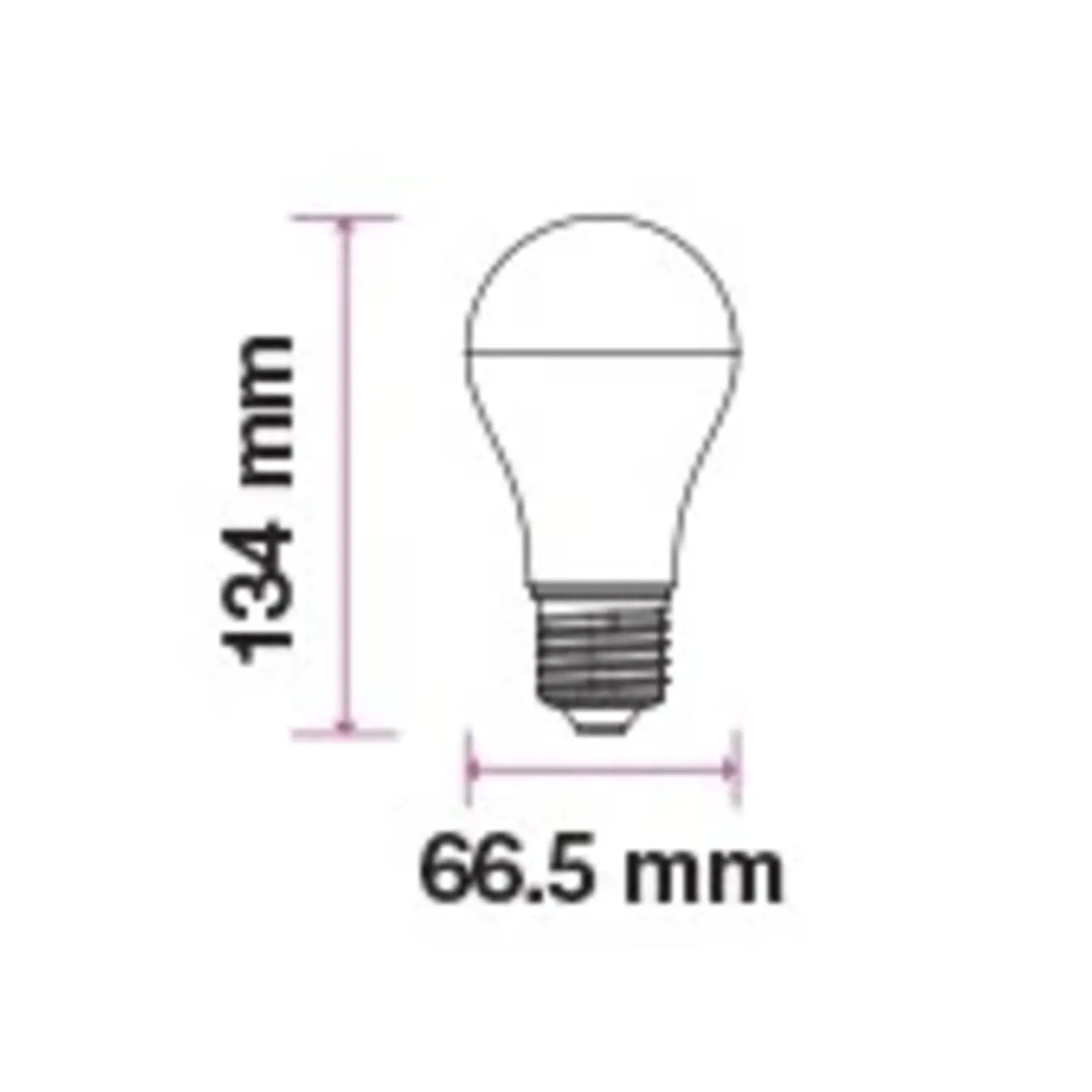 immagine lampadina led bulbo classico chip samsung A65 e27 15 watt bianco caldo