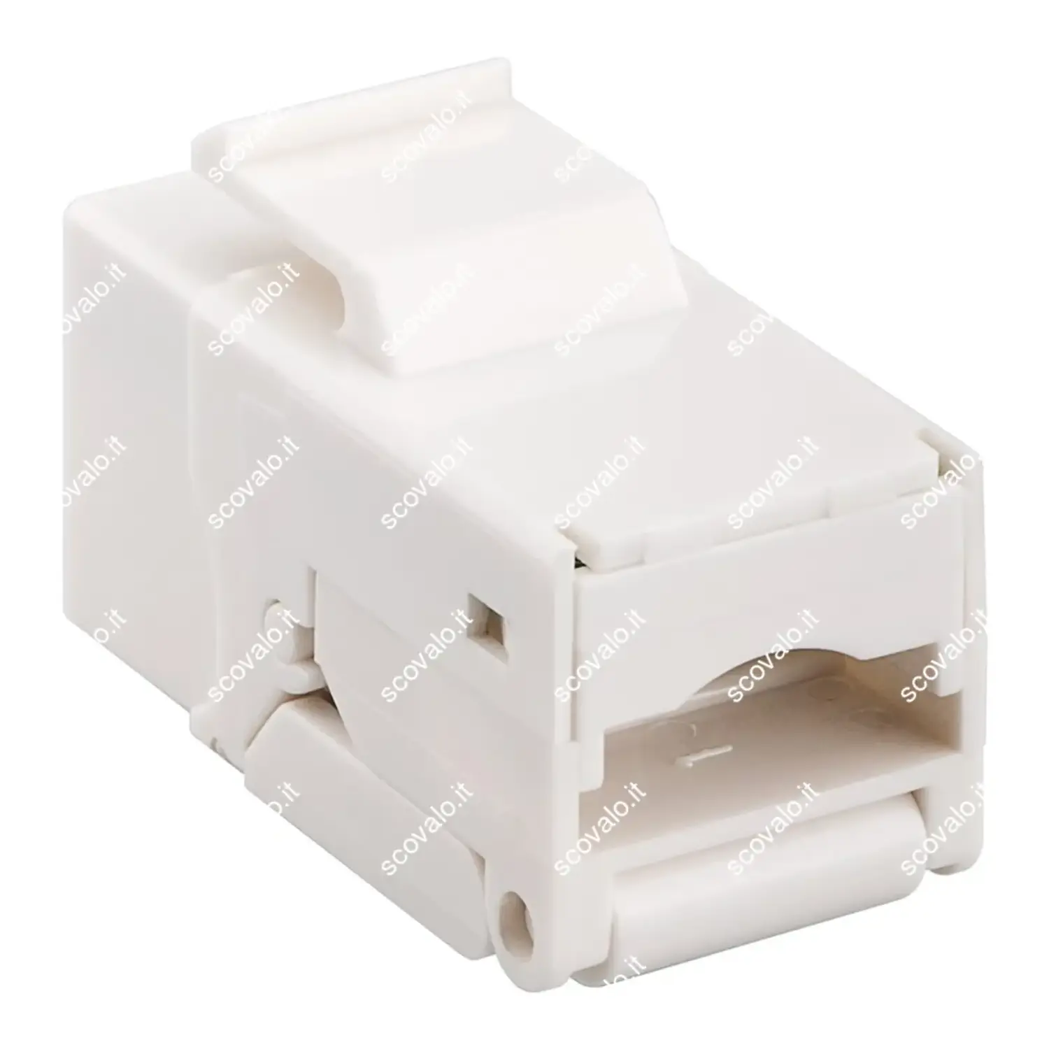 immagine modulo keystone presa di rete lan rj45 cat 6 utp 250 mhz