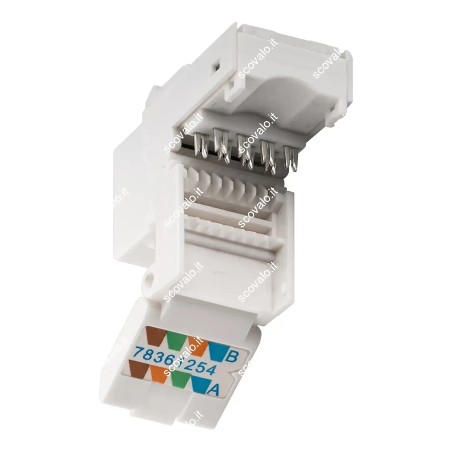 immagine modulo keystone presa di rete lan rj45 cat 6 utp 250 mhz