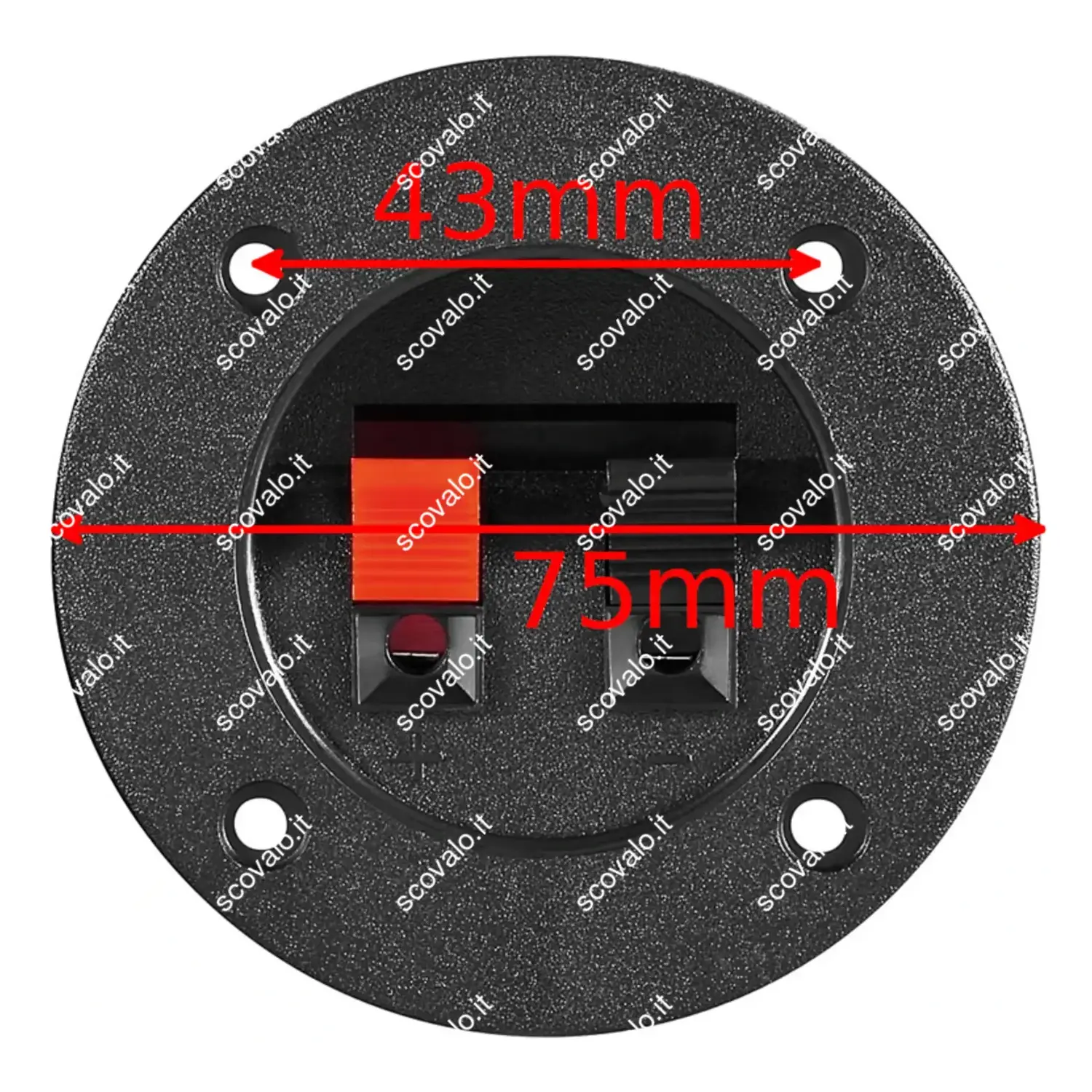 immagine morsettiera altoparlanti audio 2 poli cassa acustica impianto audio 2 fori tondo