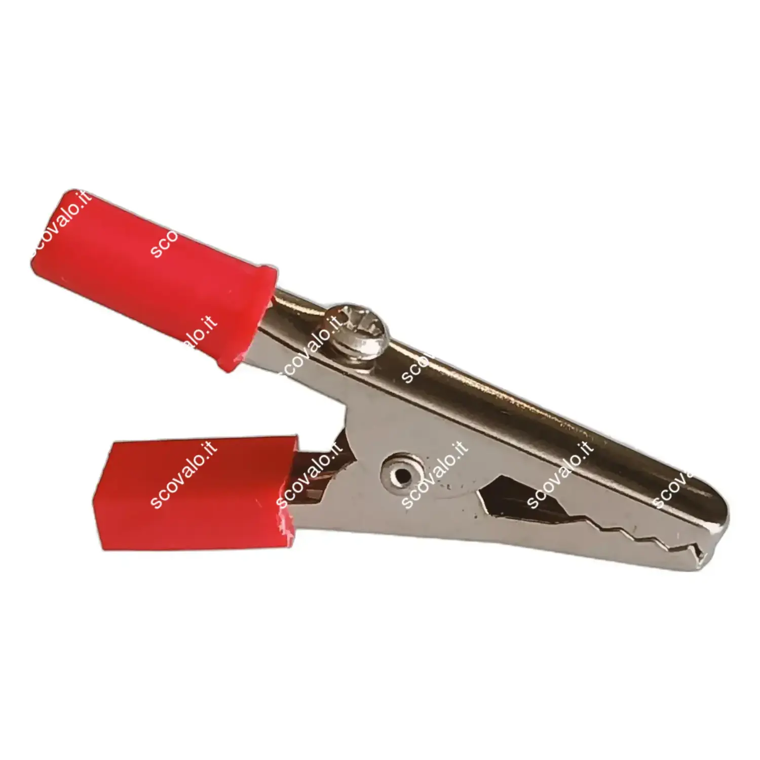 immagine morsetto pinzetta a coccodrillo 45 mm clip coccodrillo isolato rosso 10 pezzi