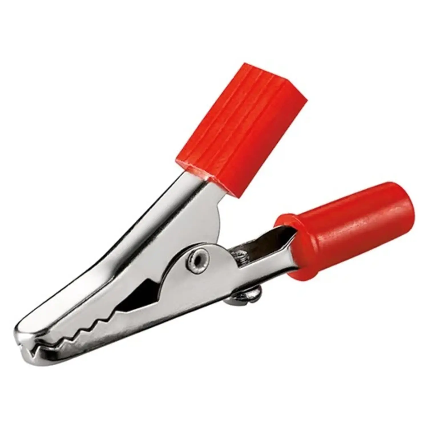 immagine morsetto pinzetta a coccodrillo 45 mm clip coccodrillo isolato rosso 10 pezzi