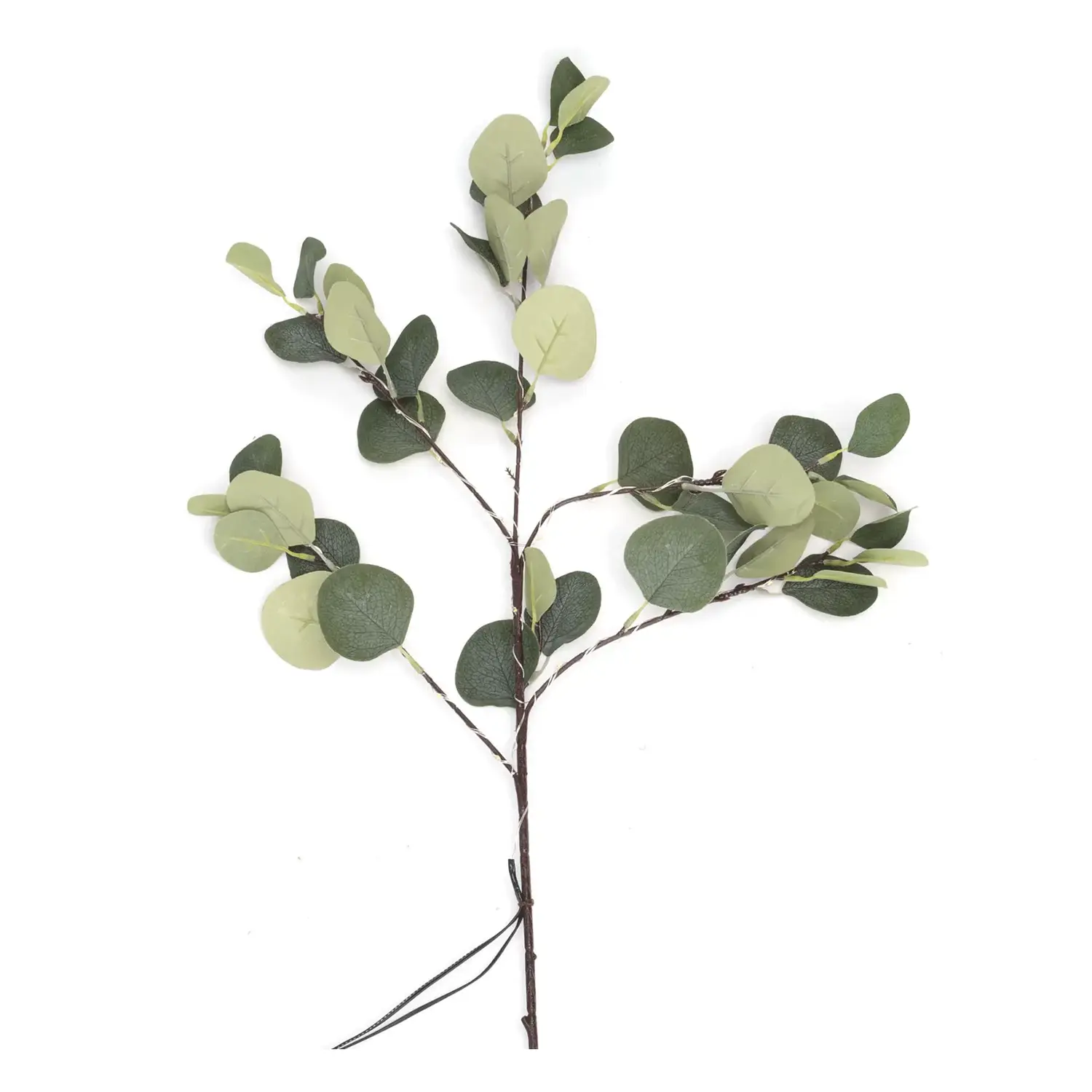 immagine Piante artificiali luminose solari, eucalipto da inserimento a terreno 2m+1,5m 60LED