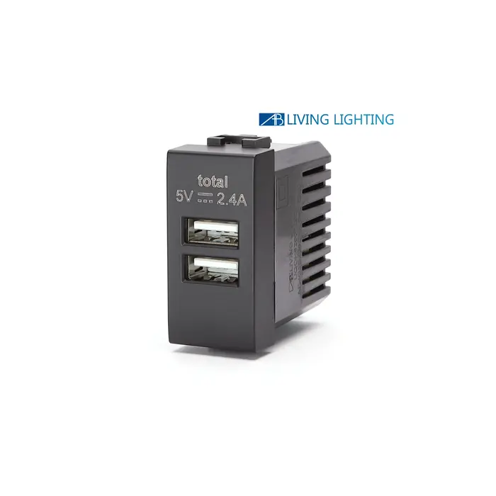 immagine compatibile bticino livinglight living international presa usb doppia nero