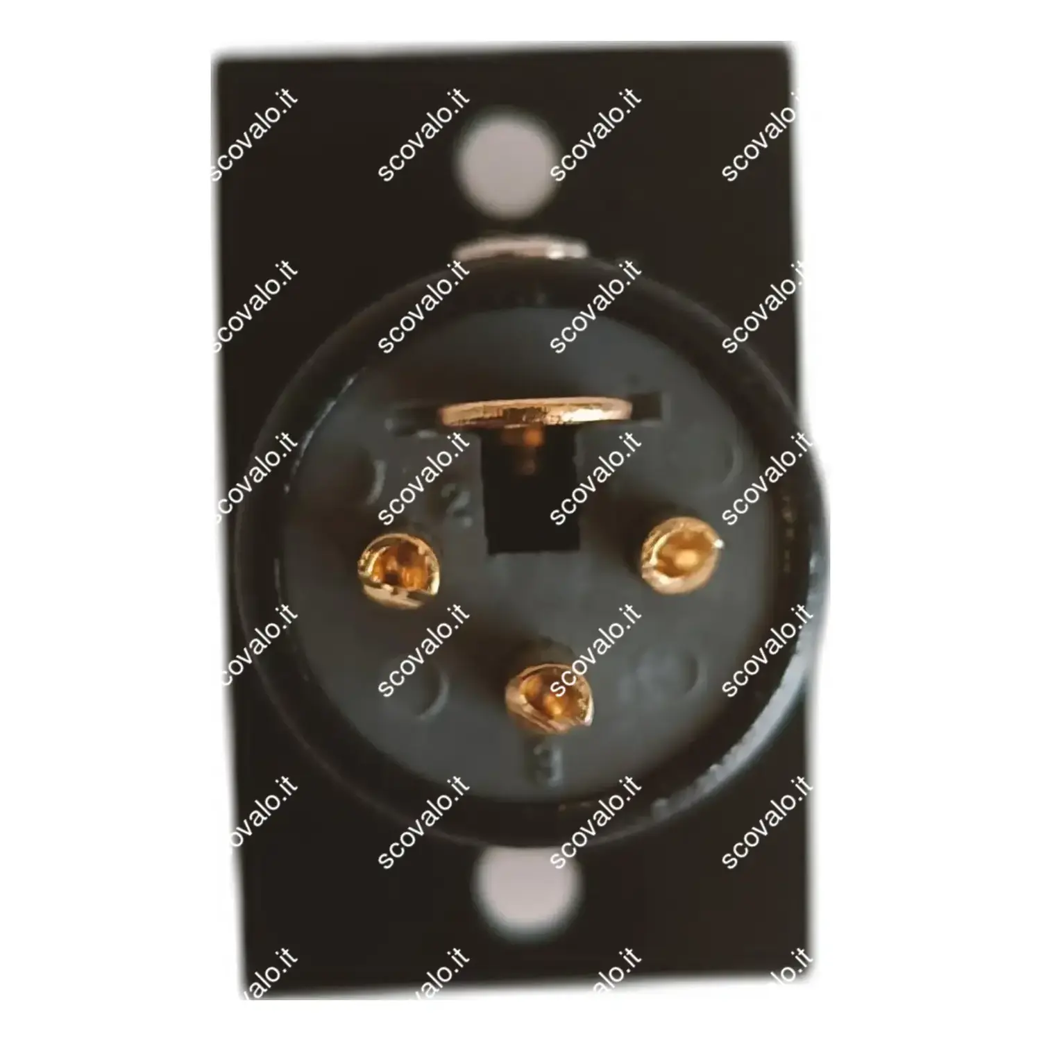 immagine spina xlr canon microfono da pannello 3 poli contatti placcati oro maschio