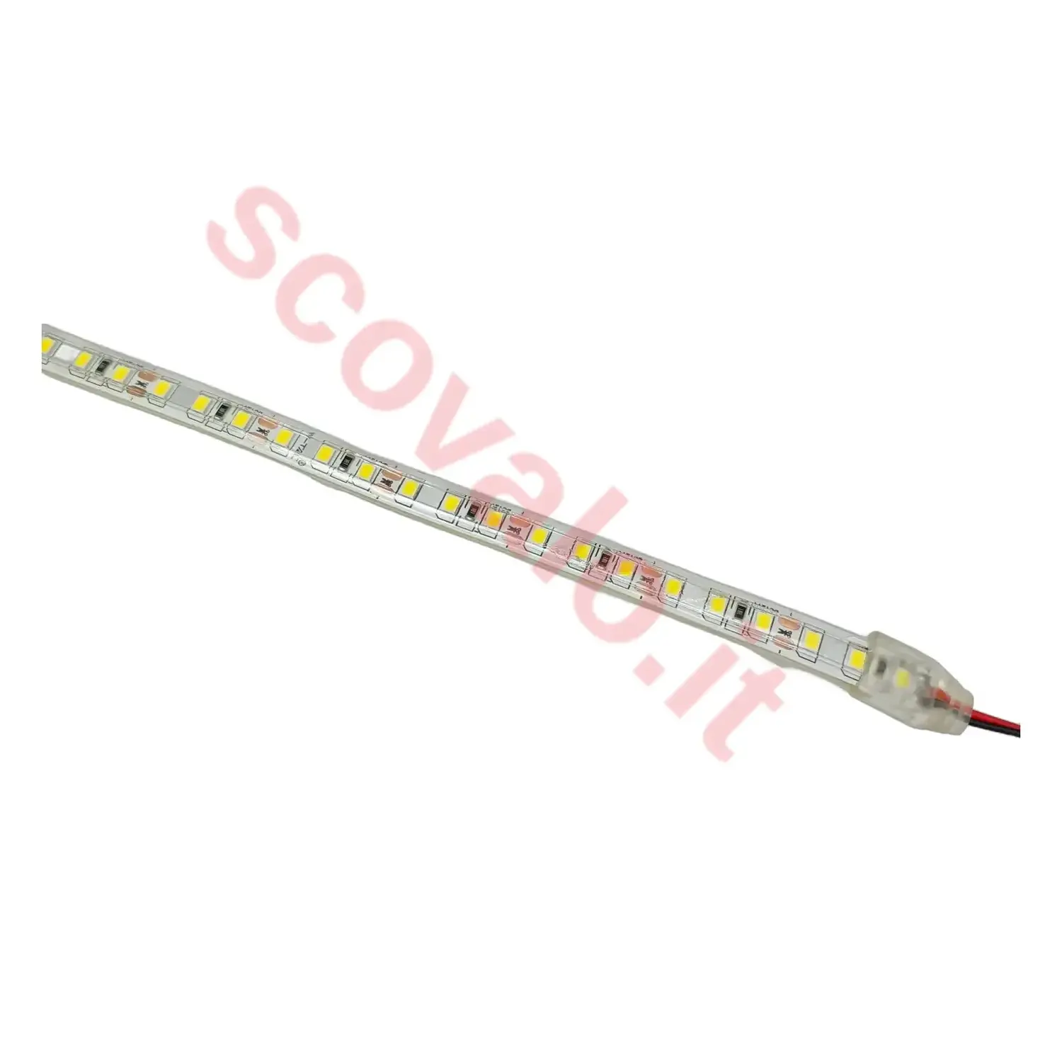 immagine del prodotto striscia strip led impermeabile ip65 8 watt led smd 3528 bianco freddo 5 mt